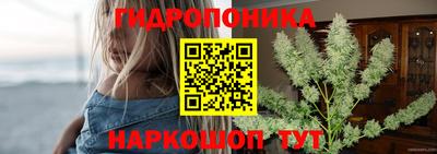 бошки Будённовск