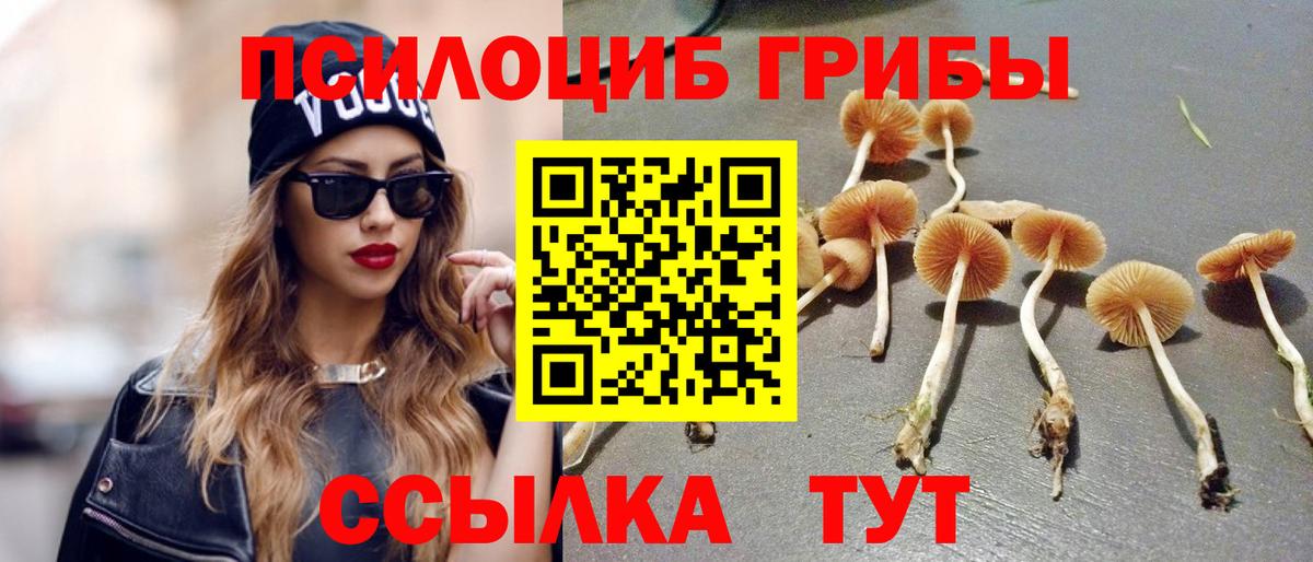 Галлюциногенные грибы Cubensis  Галлюциногенные грибы прущие грибы  Вход с VPN  Морозовск 